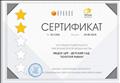 Сертификат присвоения второй звезды качества
25.06.2019 г.